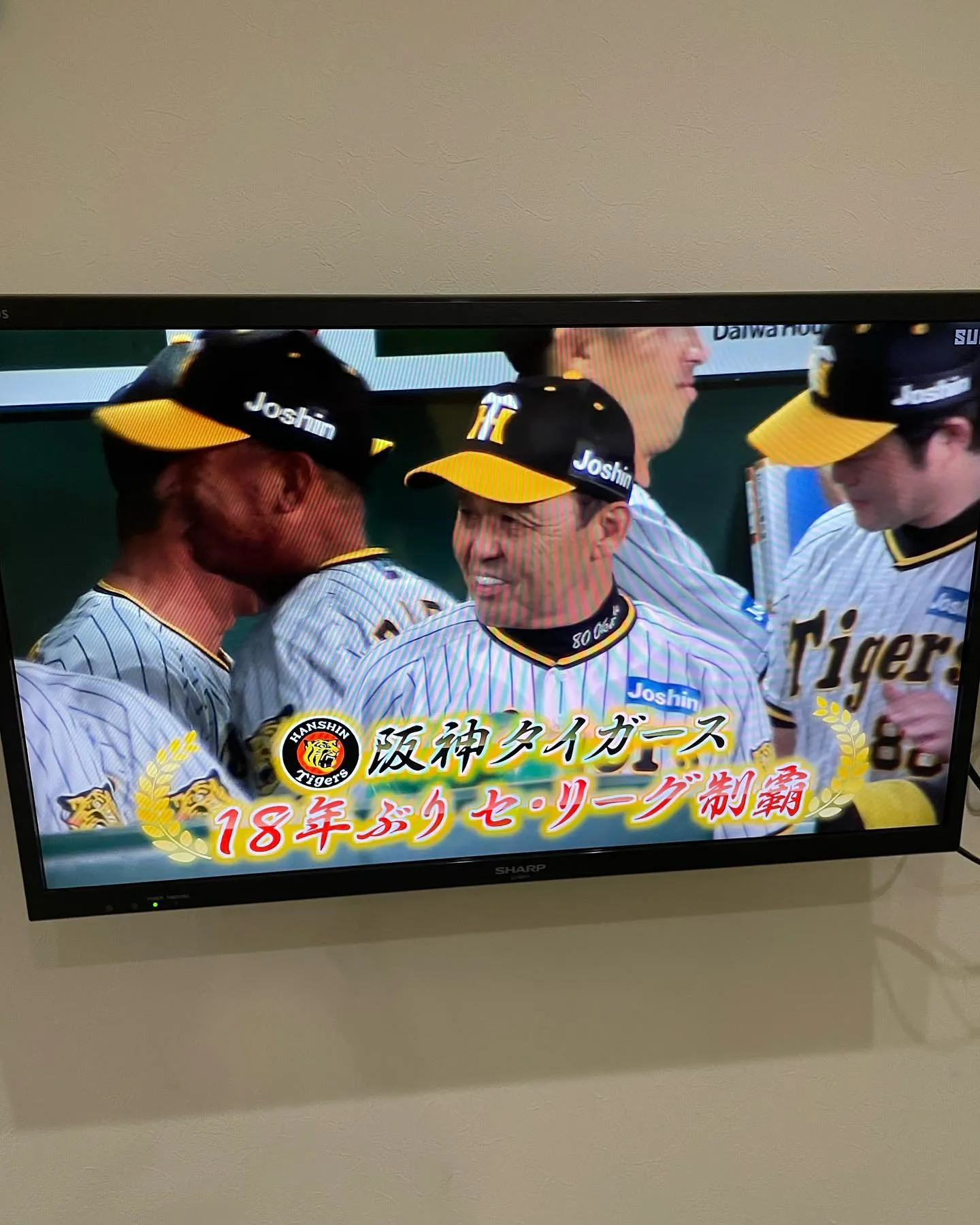 阪神タイガース優勝(アレ)おめでとうー！岡田監督ありがとうー...