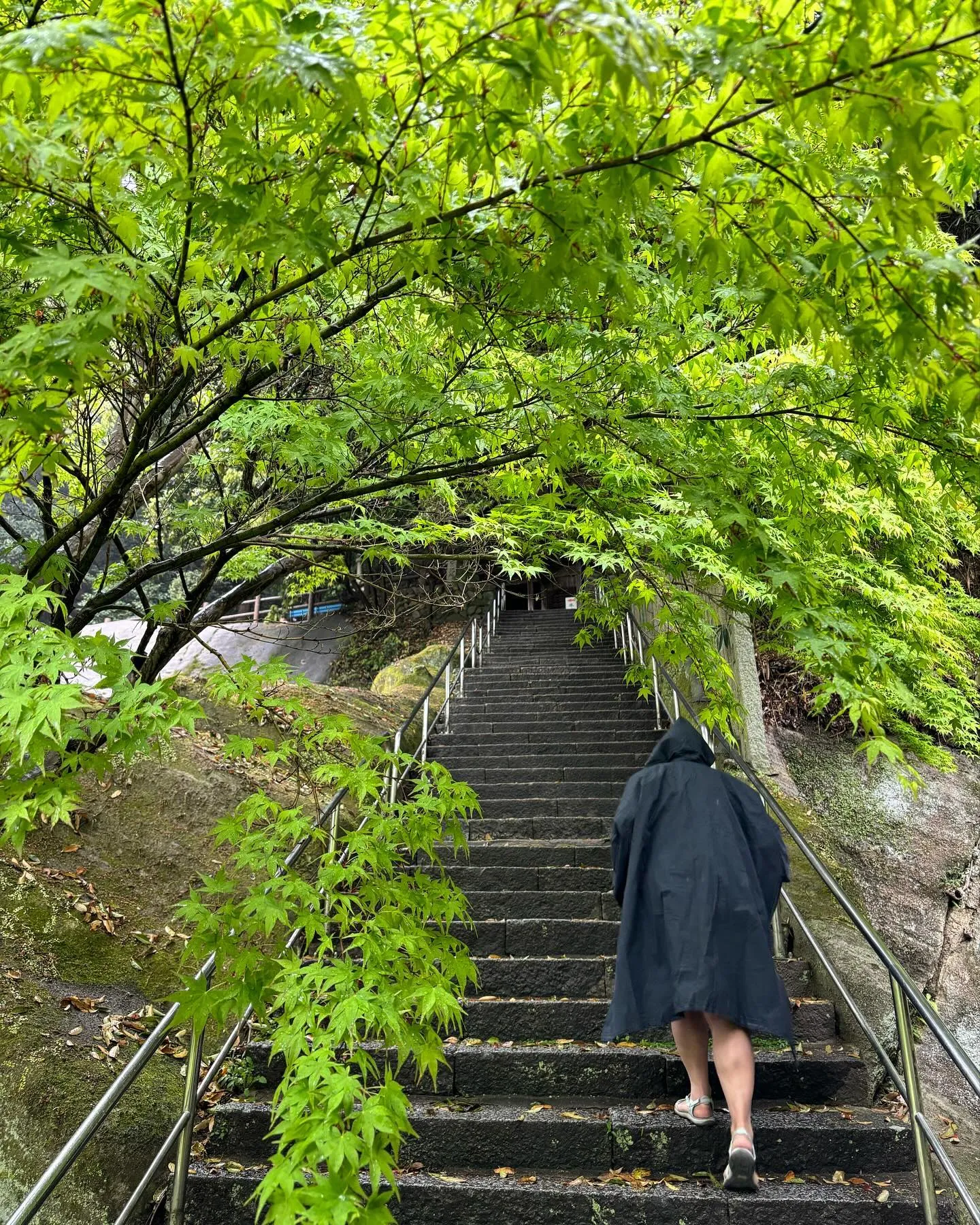 71番札所『弥谷寺』階段キツかったー！けど乗り越えた感ある！