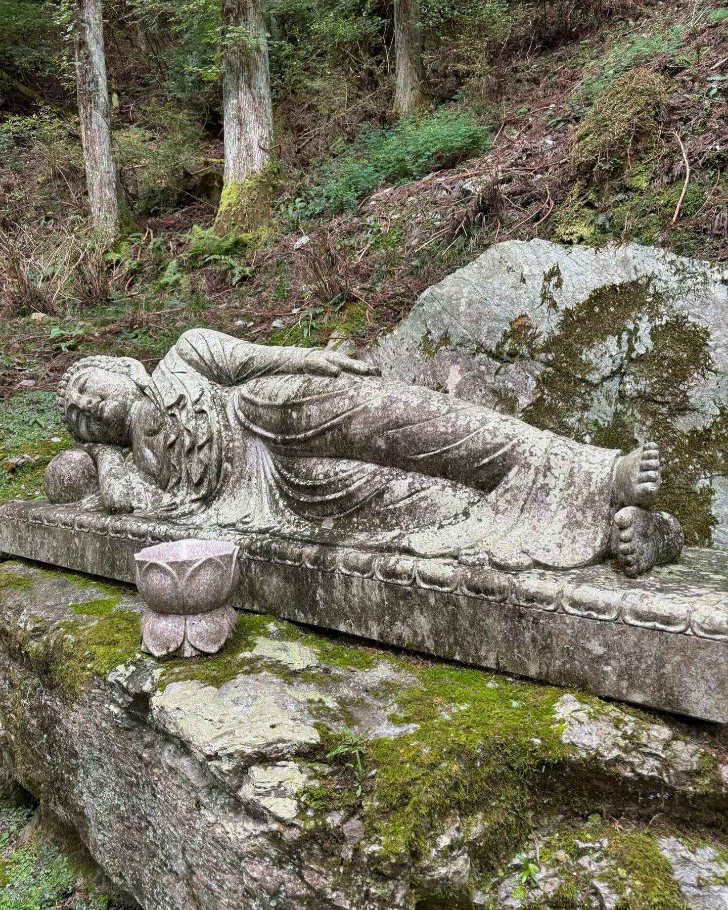 第12番札所『焼山寺』神秘的な雰囲気で癒されました！