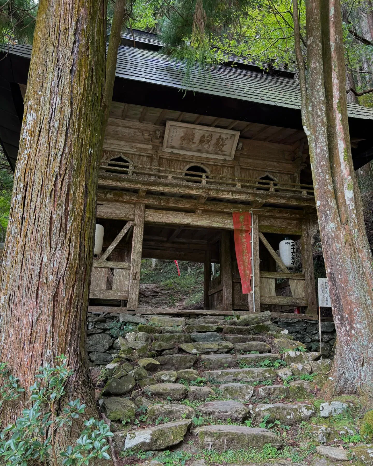 第45番札所『岩屋寺』膝が崩壊するほどの坂道でしたが神秘的で...