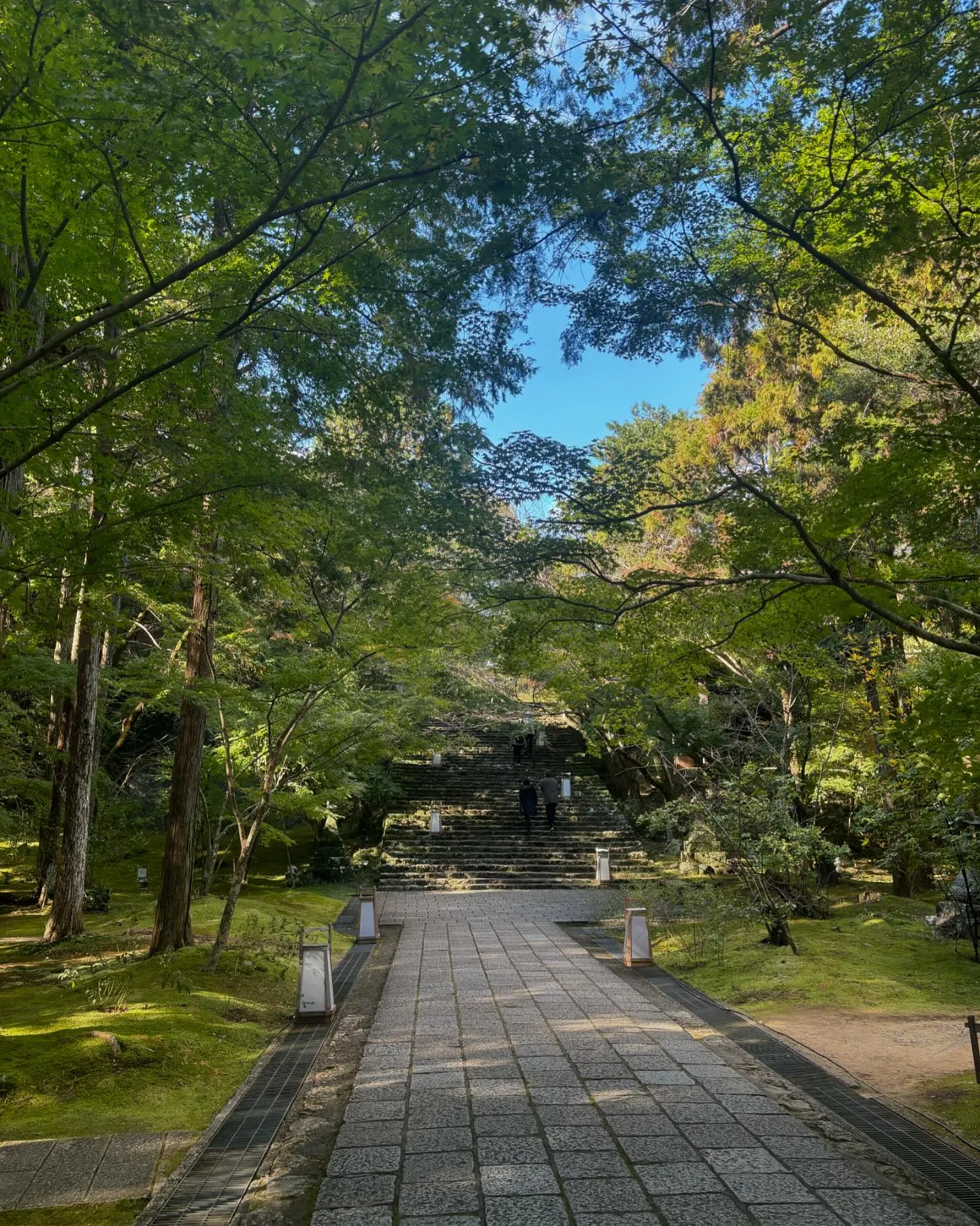 第31番札所『竹林寺』まだ紅葉には1〜2週間早かったけど贅沢...